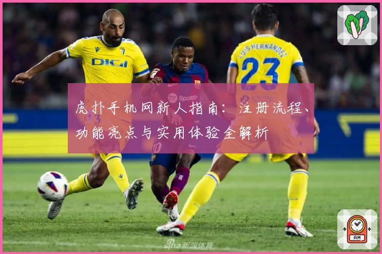 虎扑手机网新人指南：注册流程、功能亮点与实用体验全解析