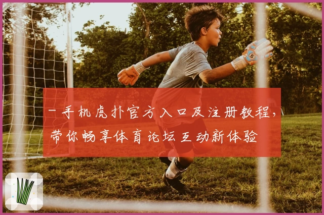 - 手机虎扑官方入口及注册教程，带你畅享体育论坛互动新体验