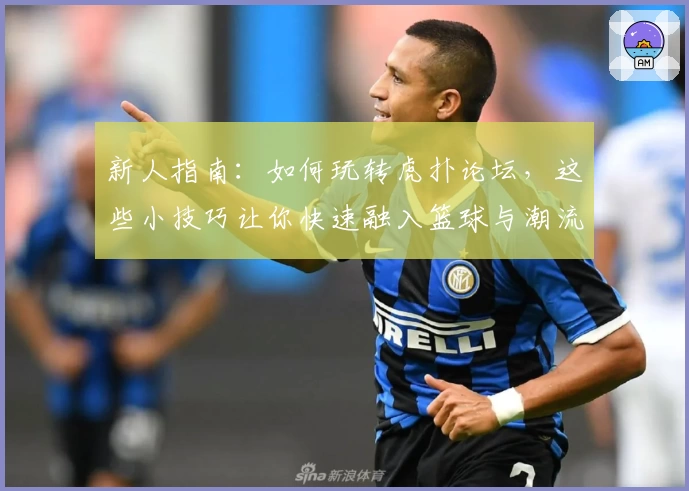 新人指南：如何玩转虎扑论坛，这些小技巧让你快速融入篮球与潮流社区